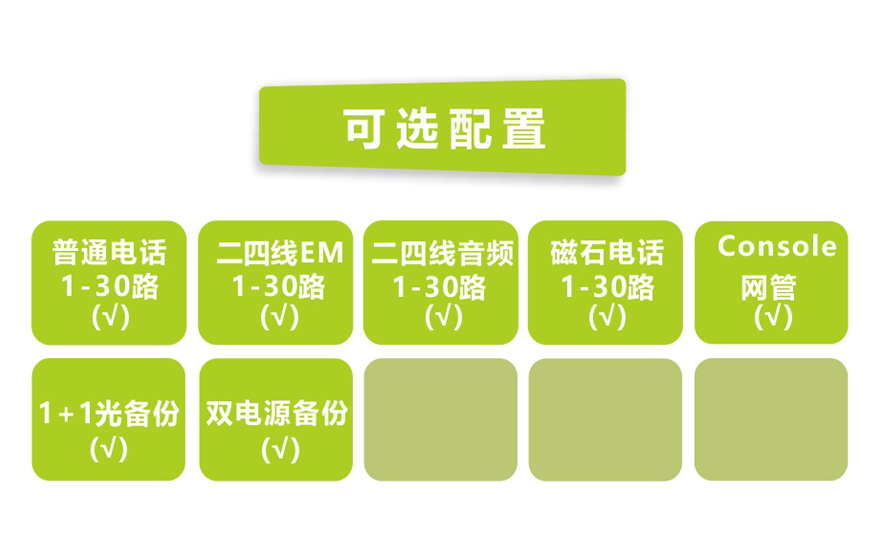 飛暢科技-30路電話 E1復(fù)用 (1U 機(jī)架式)